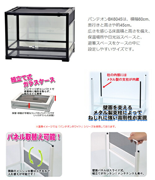 楽天市場】爬虫類ケージ 三晃商会 パンテオン ブラック BK6045