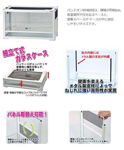楽天市場】【3／5限定】当選確率2分の1！1等最大100％ 爬虫類