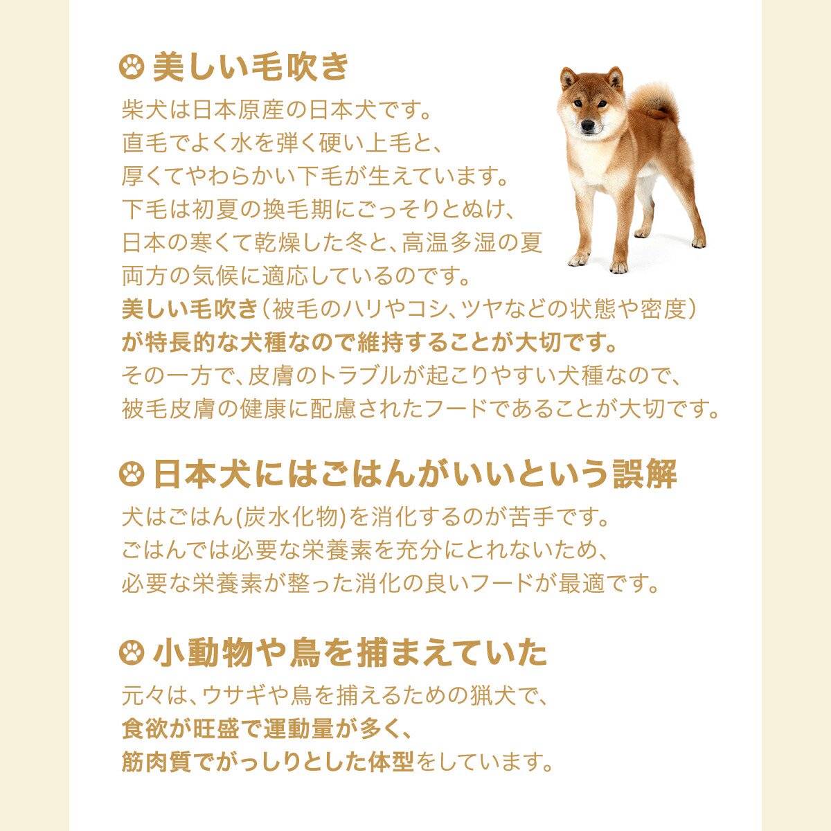 楽天市場】送料無料 ロイヤルカナン 柴犬 子犬用 3kg