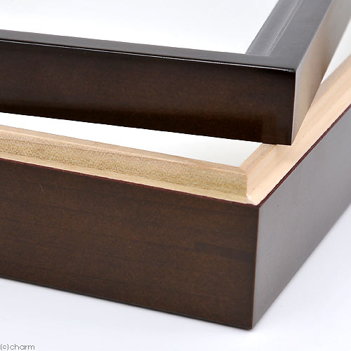 楽天市場】バードウィング製 ドイツ型標本箱 BW中型 （幅42．5