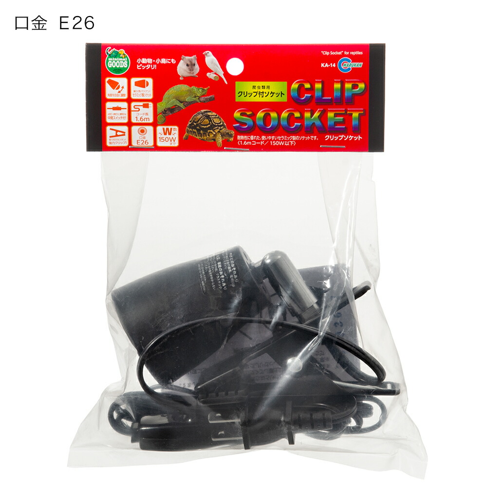 楽天市場】フトアゴヒゲトカゲ飼育セット （90cmケージ対応） 乾燥