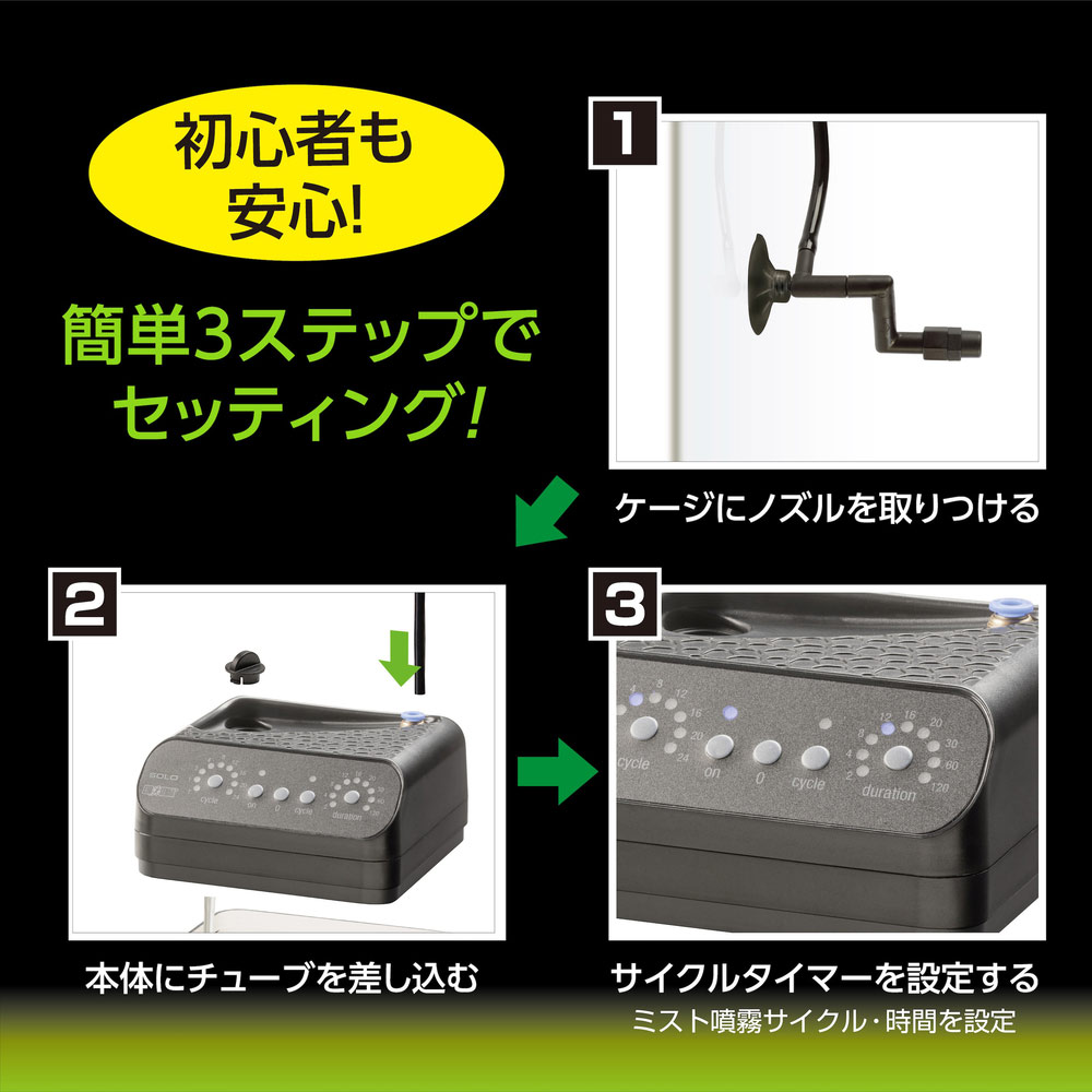 楽天市場】GEX エキゾテラ モンスーンソロ ミスティング カメレオン