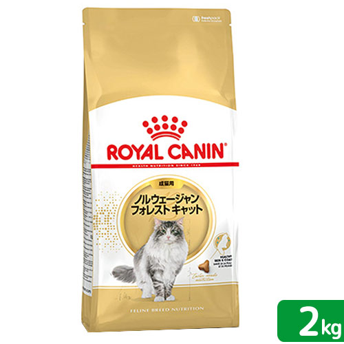 楽天市場】ロイヤルカナン 猫 ノルウェージャン フォレスト キャット