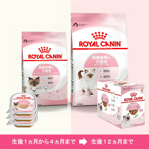 楽天市場】ロイヤルカナン 猫 成長を続ける子猫のための ドライ2種2