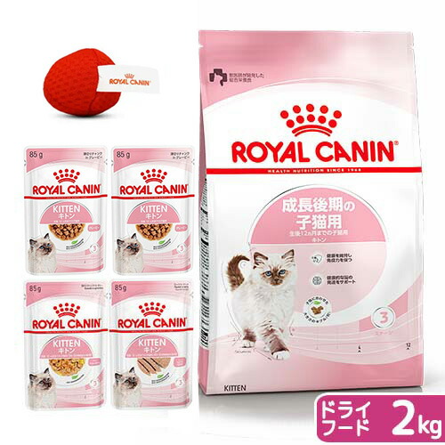 楽天市場】【送料無料】ロイヤルカナン 子猫 成長後期の子猫用ドライ