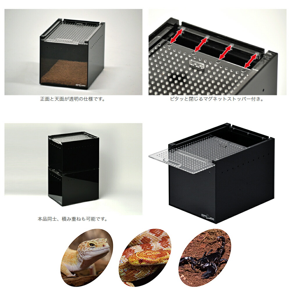 楽天市場】三晃商会 レプタイルボックス ハーフ BK ブラック 爬虫類