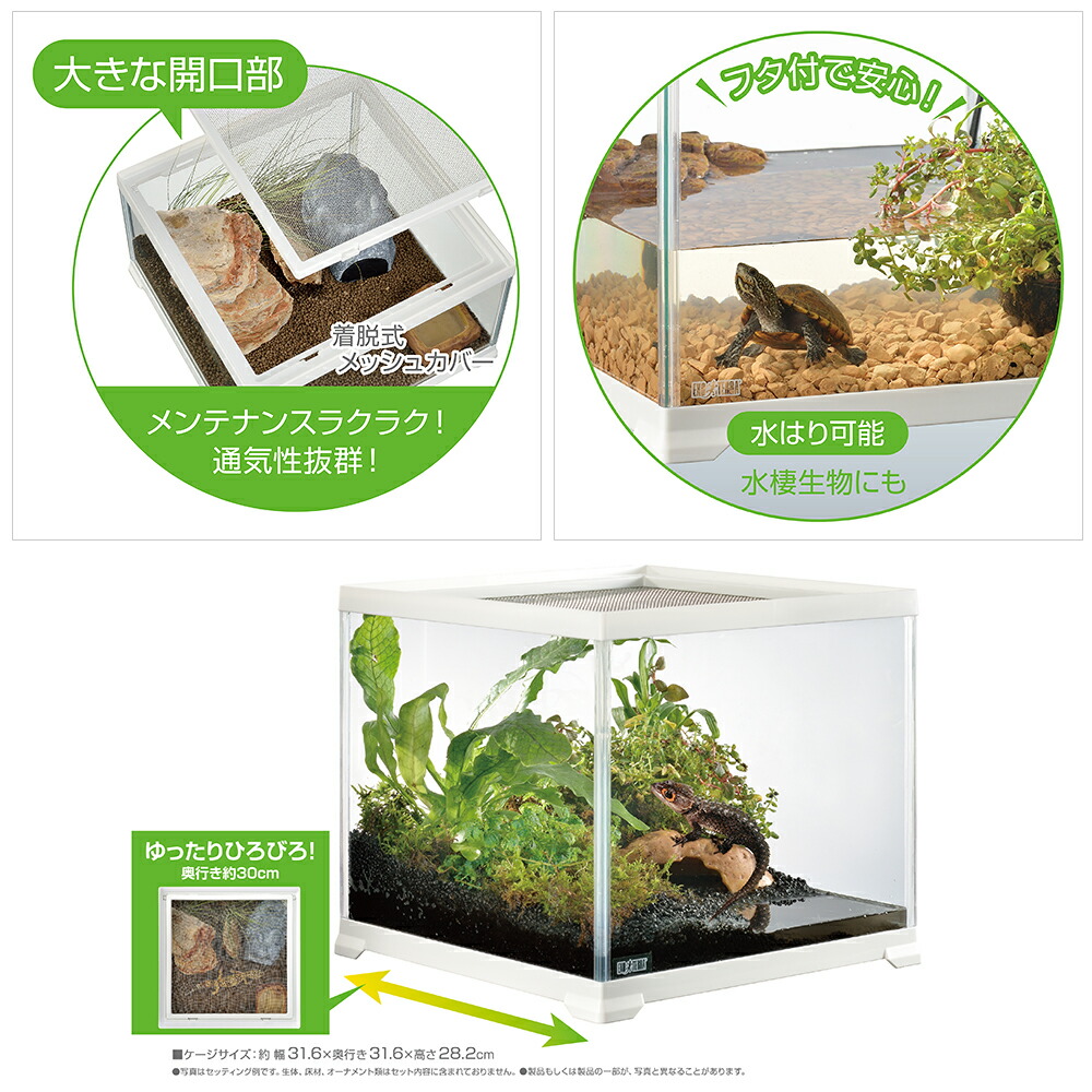 楽天市場】爬虫類ケージ GEX レプテリア ホワイト 300キューブ