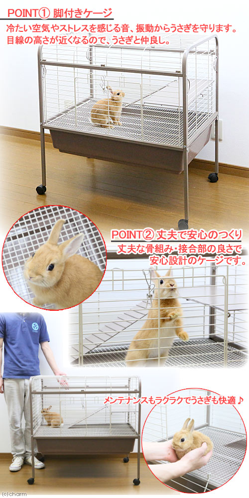 楽天市場】うさぎケージ アウトレット品 脚付き M（82．4×54．9