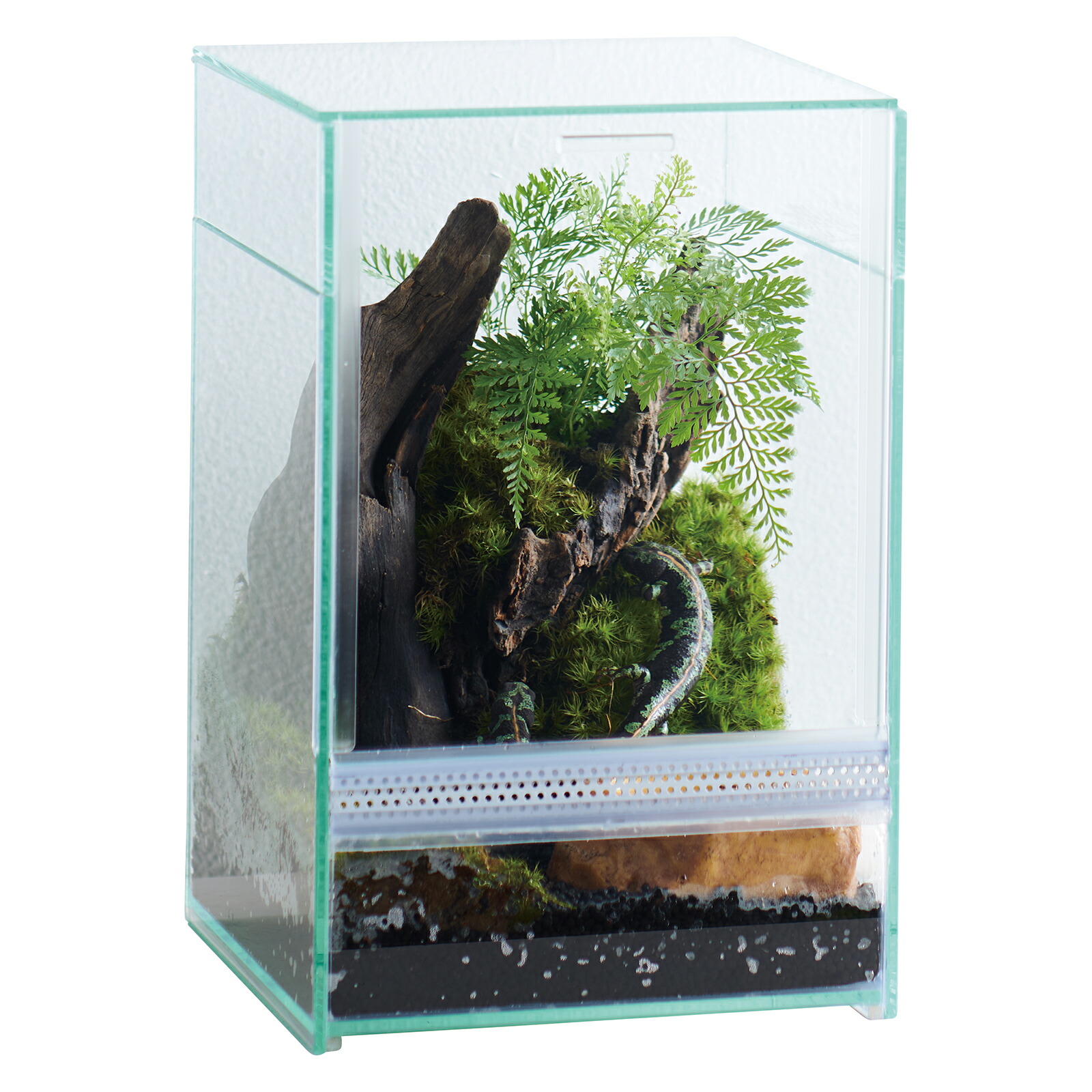 楽天市場】爬虫類ケージ GEX レプテリア クリアネオフィット 180