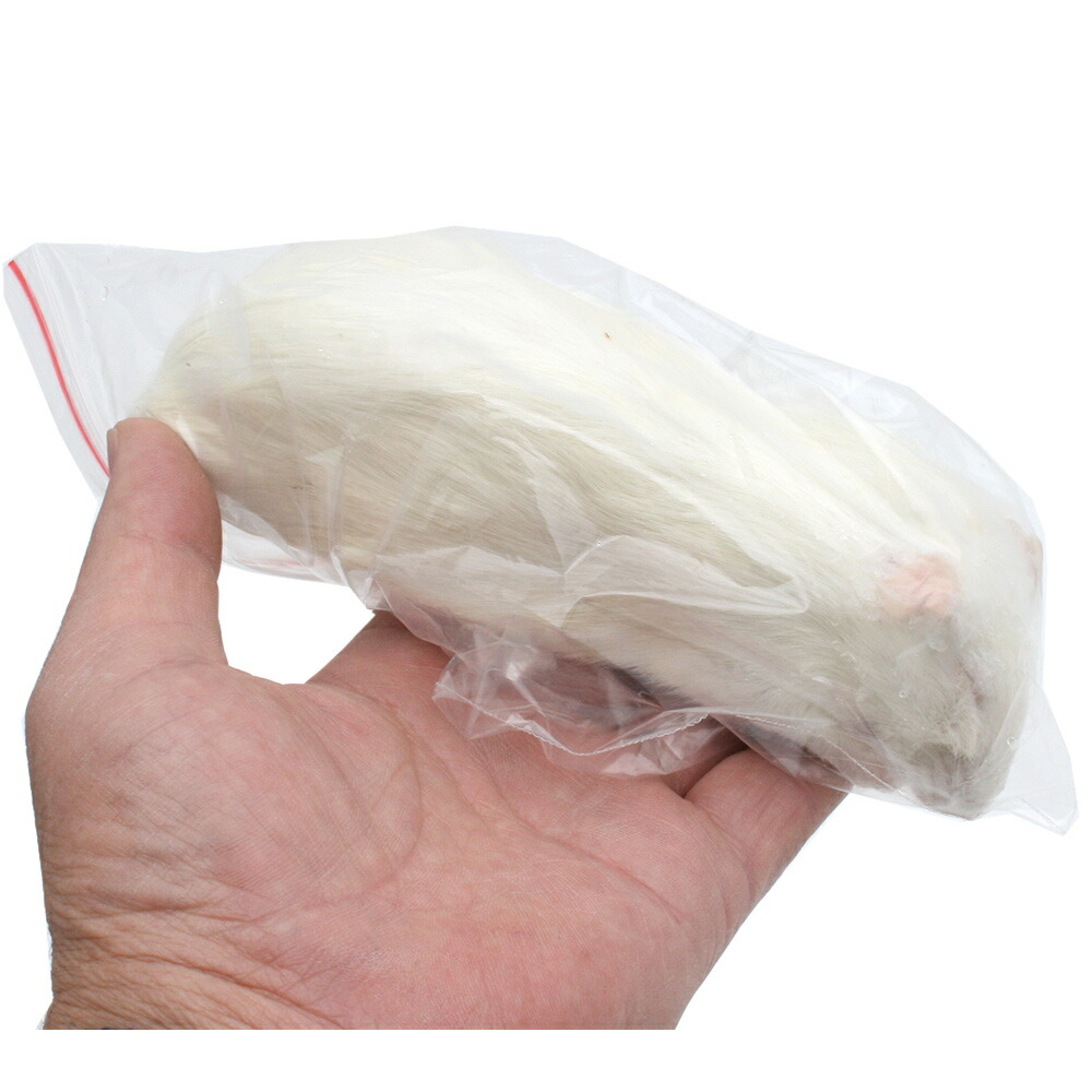 楽天市場】冷凍☆富城 アダルトラットL （5匹） 冷凍マウス 冷凍