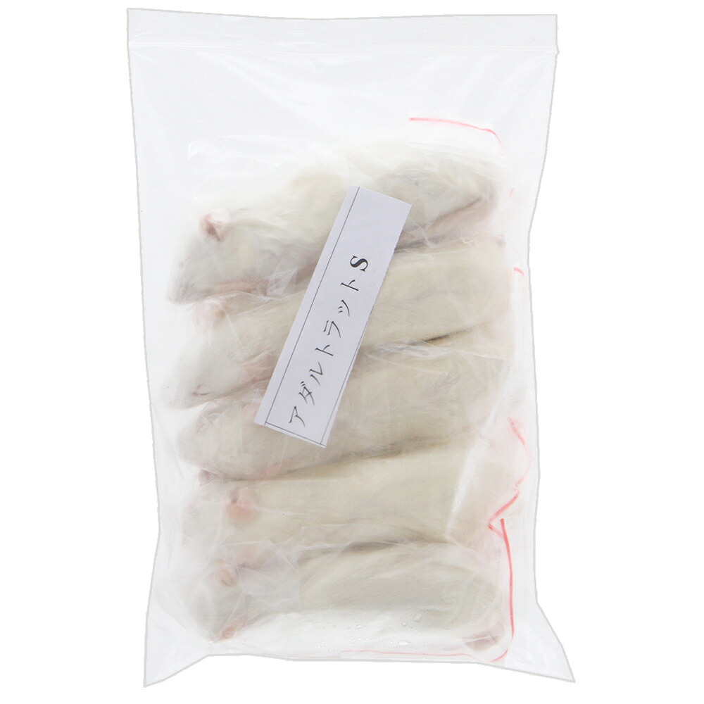 楽天市場】冷凍 ラットの通販