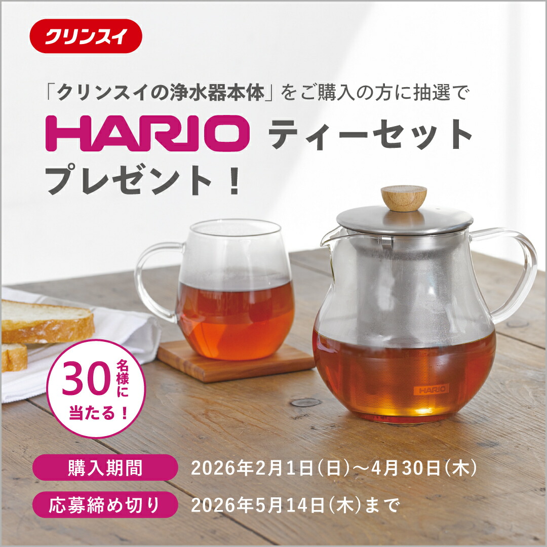 楽天市場】【ポイント10倍 2/19 20:00 〜3/18 09:59まで】【TVCM公開中