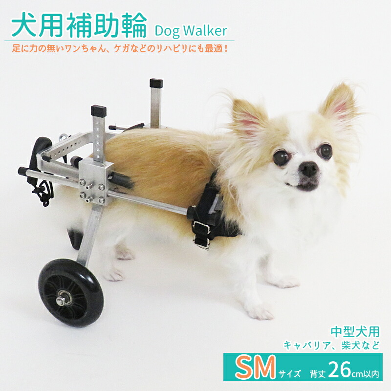 楽天市場】【最大80%off楽天SALE】犬用補助輪 SMサイズ 犬用車椅子 小