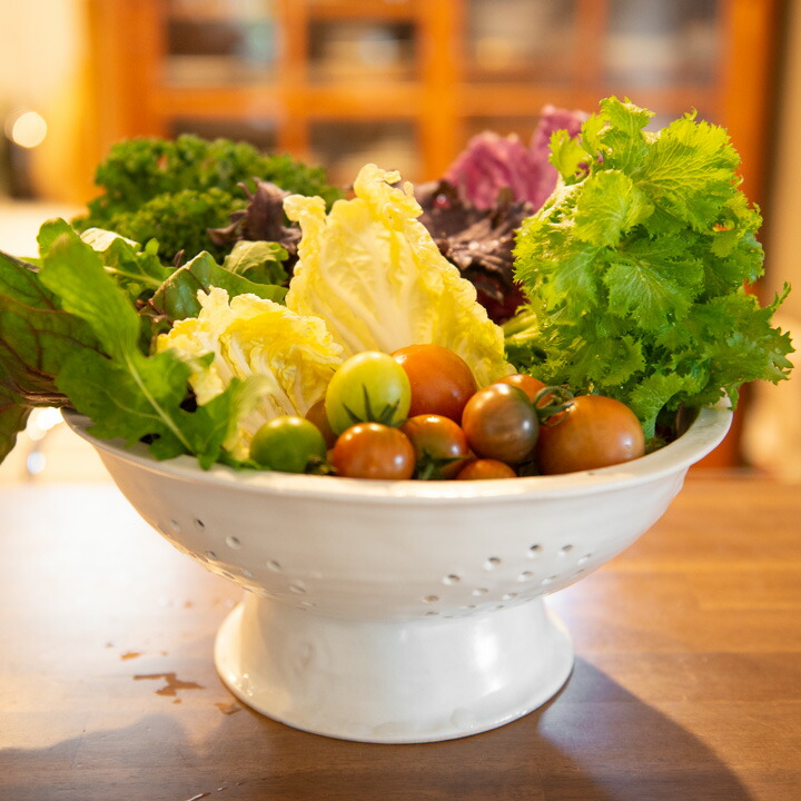 楽天市場】富士ホーロー コランダー ホーロー 22cm【 ほうろう 琺瑯