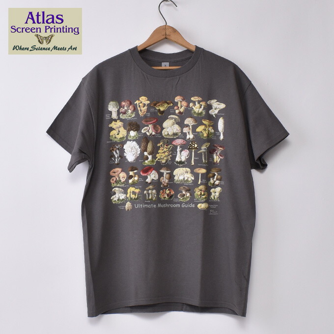 楽天市場】ATLAS SCREEN PRINTING / WILD COTTON TEE SHIRTSアトラス