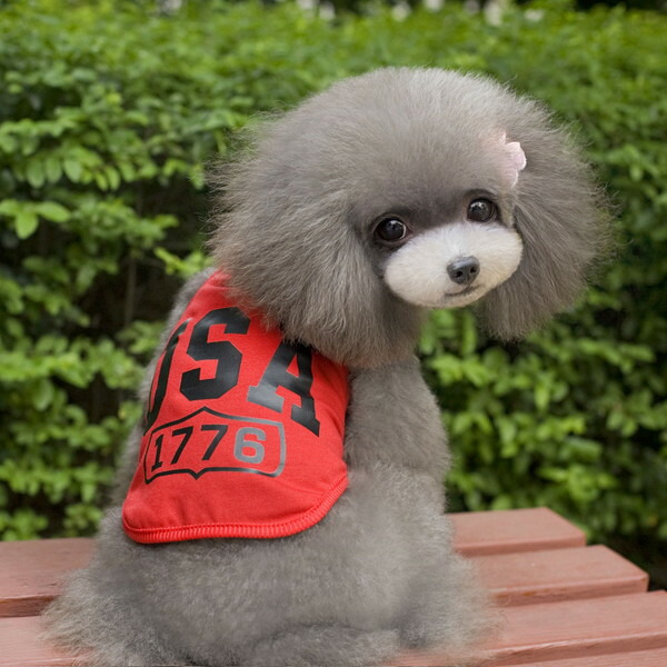 楽天市場】【クーポンで800円＋ポイント最大40倍】【楽天1位獲得