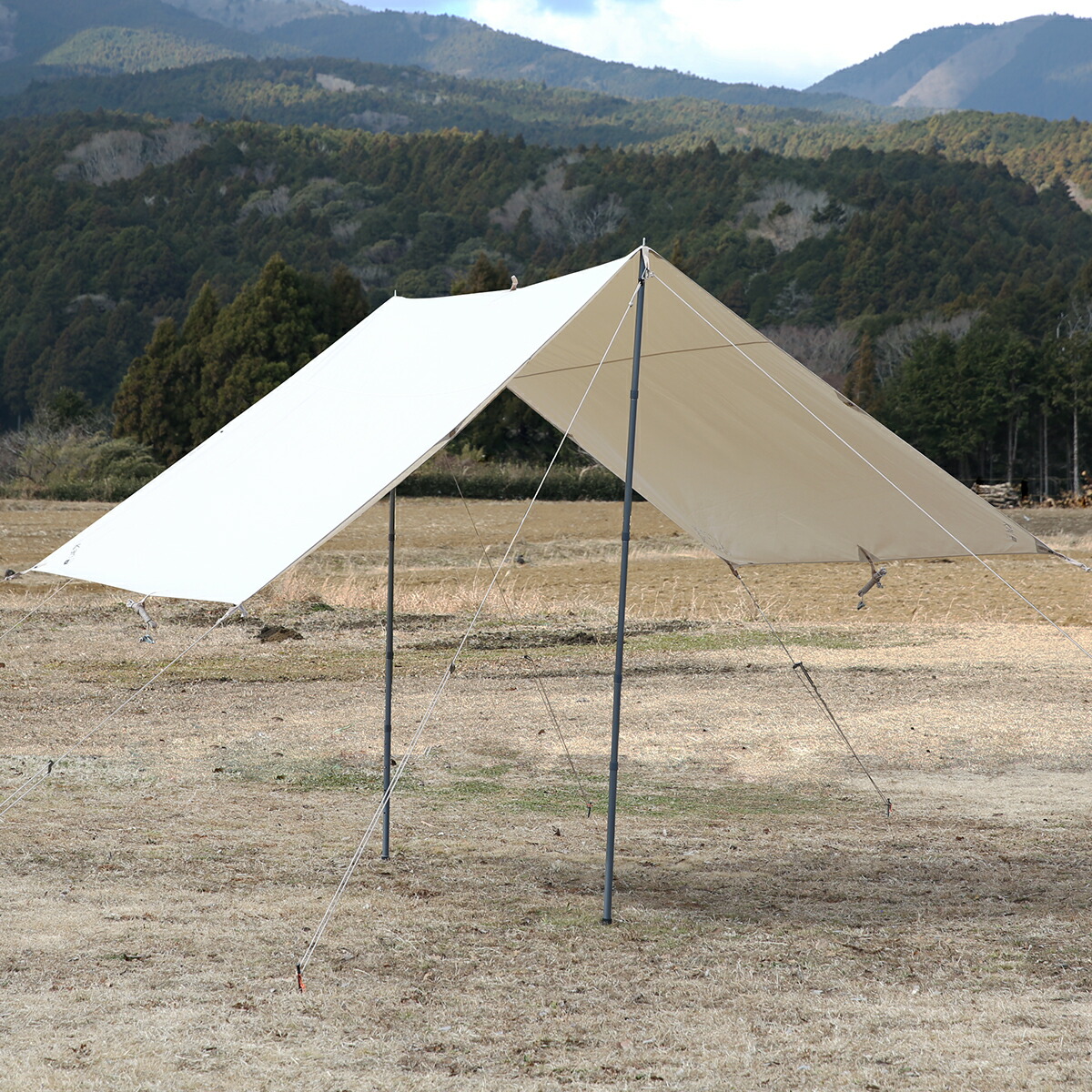 楽天市場】【クーポン4種あり】ノルディスク カーリ12 タープ 【2022年