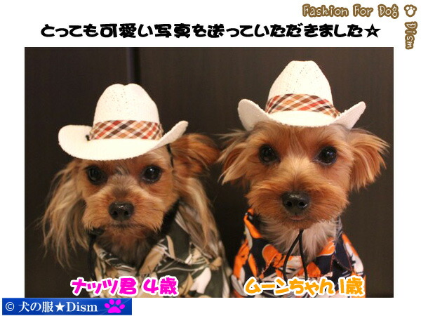 楽天市場】＼スーパーSALE 10％オフ！更にP4倍／ 犬の帽子（大）麦わら