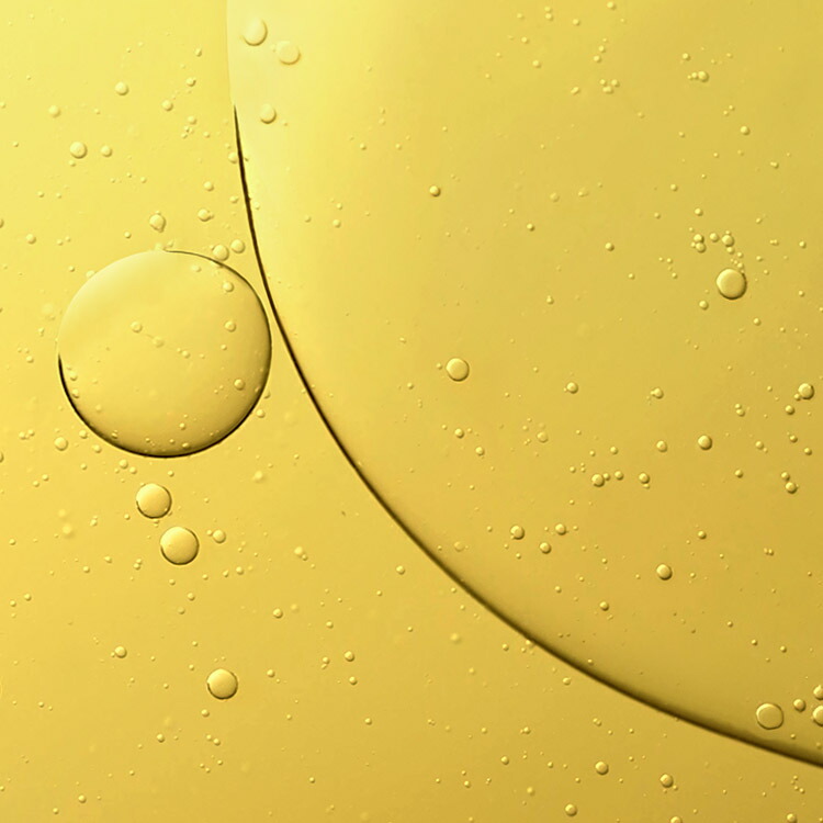 楽天市場】【ポイント10倍】さらにエントリーでポイント＋4倍 | 3/4 20