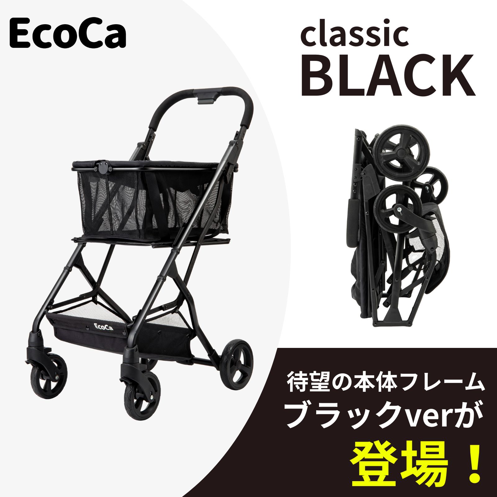楽天市場】＼最大2380円OFF！3日20：00～／【ブラック エコカ