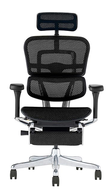 楽天市場】2025年新型 レビュー特典あり エルゴヒューマン プロ2