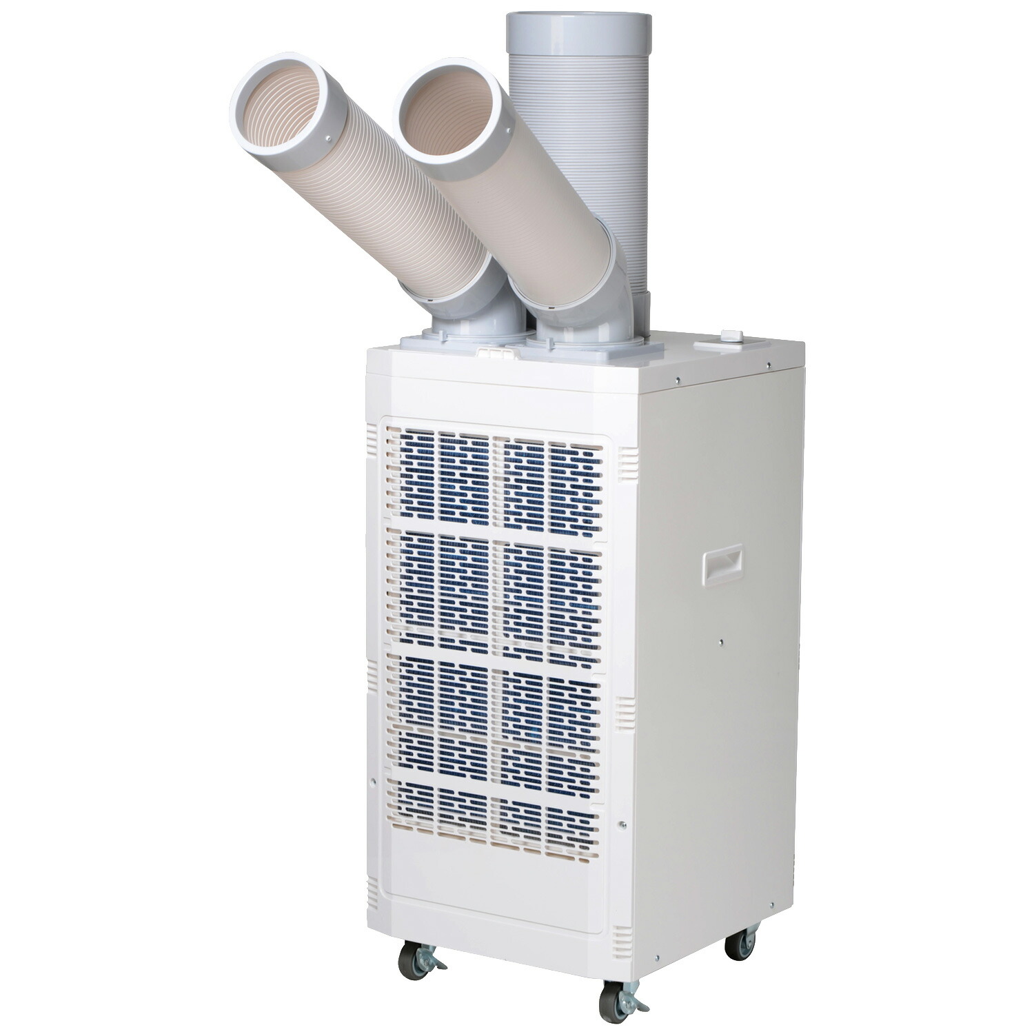 楽天市場】【早期購入1,000円オフクーポン 3/31 23:59まで】スポット