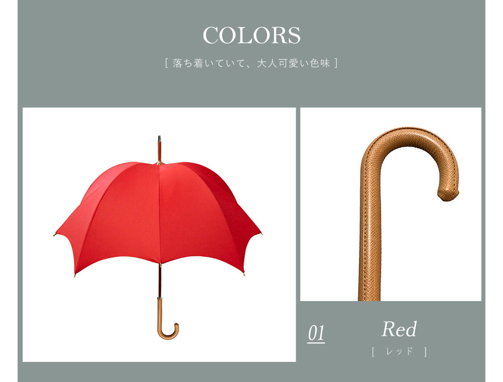楽天市場】大人のため、大人の雨傘 雨傘 DiCesare Designs