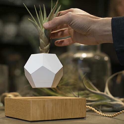 楽天市場】FLYTE（フライト）LYFE ライフ : YAMAGIWA