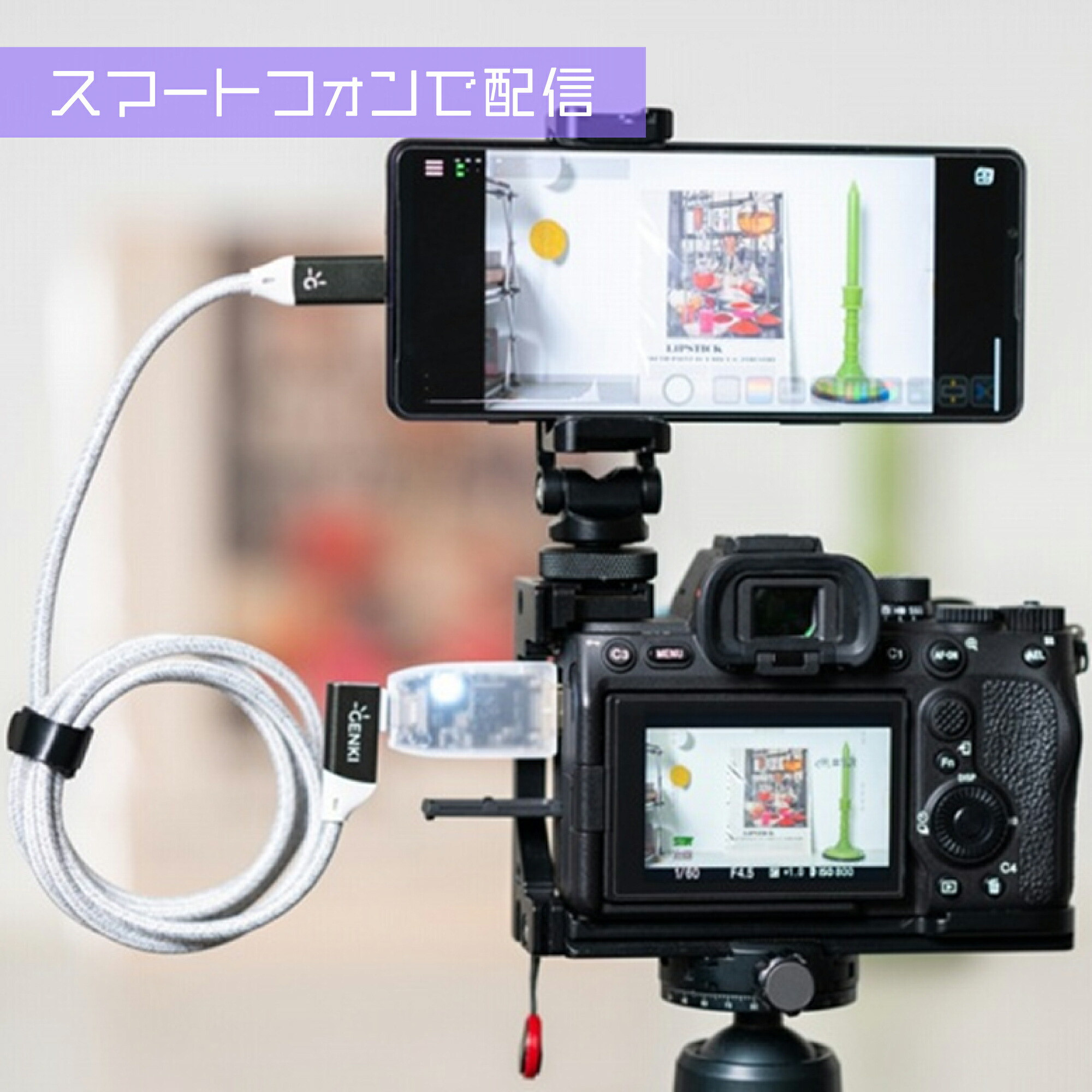 楽天市場】【SPセール限定♪ポイント15倍！】【正規販売店】 Genki