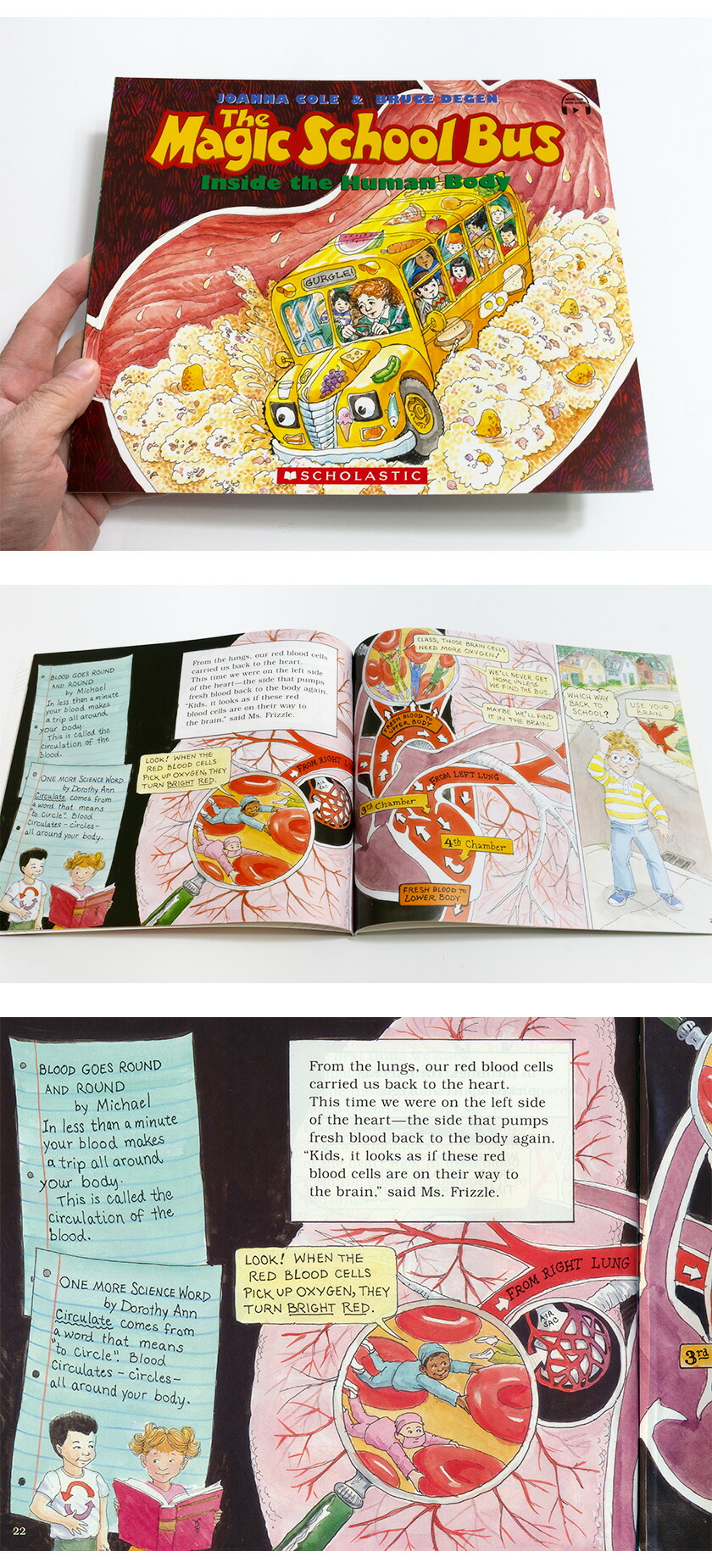 楽天市場】The Magic School Bus ベスト 6冊 BOXセット 朗読音声付き