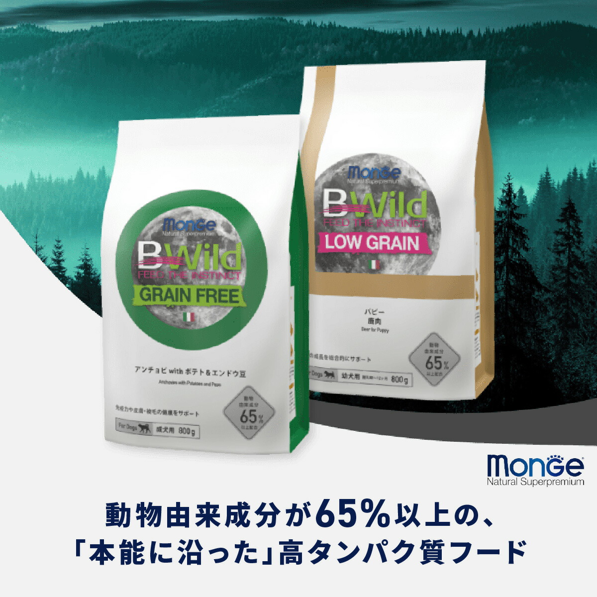 楽天市場】☆【定期購入なら初回のみ50%OFF】【成猫用 イタリア製