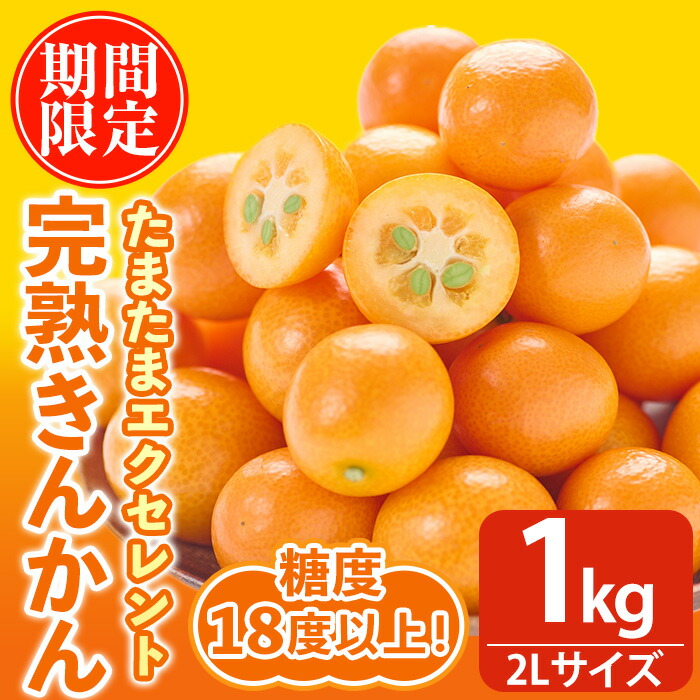 楽天市場】【ふるさと納税】＜先行予約受付中！2026年2月～3月中旬頃に
