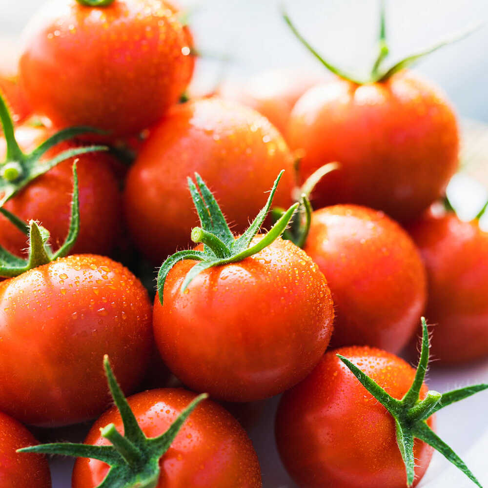 楽天市場】【ふるさと納税】【先行予約】V トマト 糖度8度前後 800g