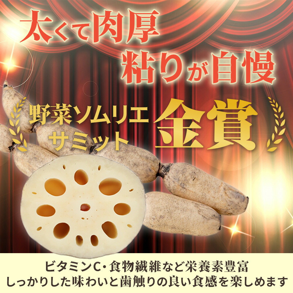 楽天市場】【ふるさと納税】レンコン 3kg 金澤美人れんこん 蓮根 野菜