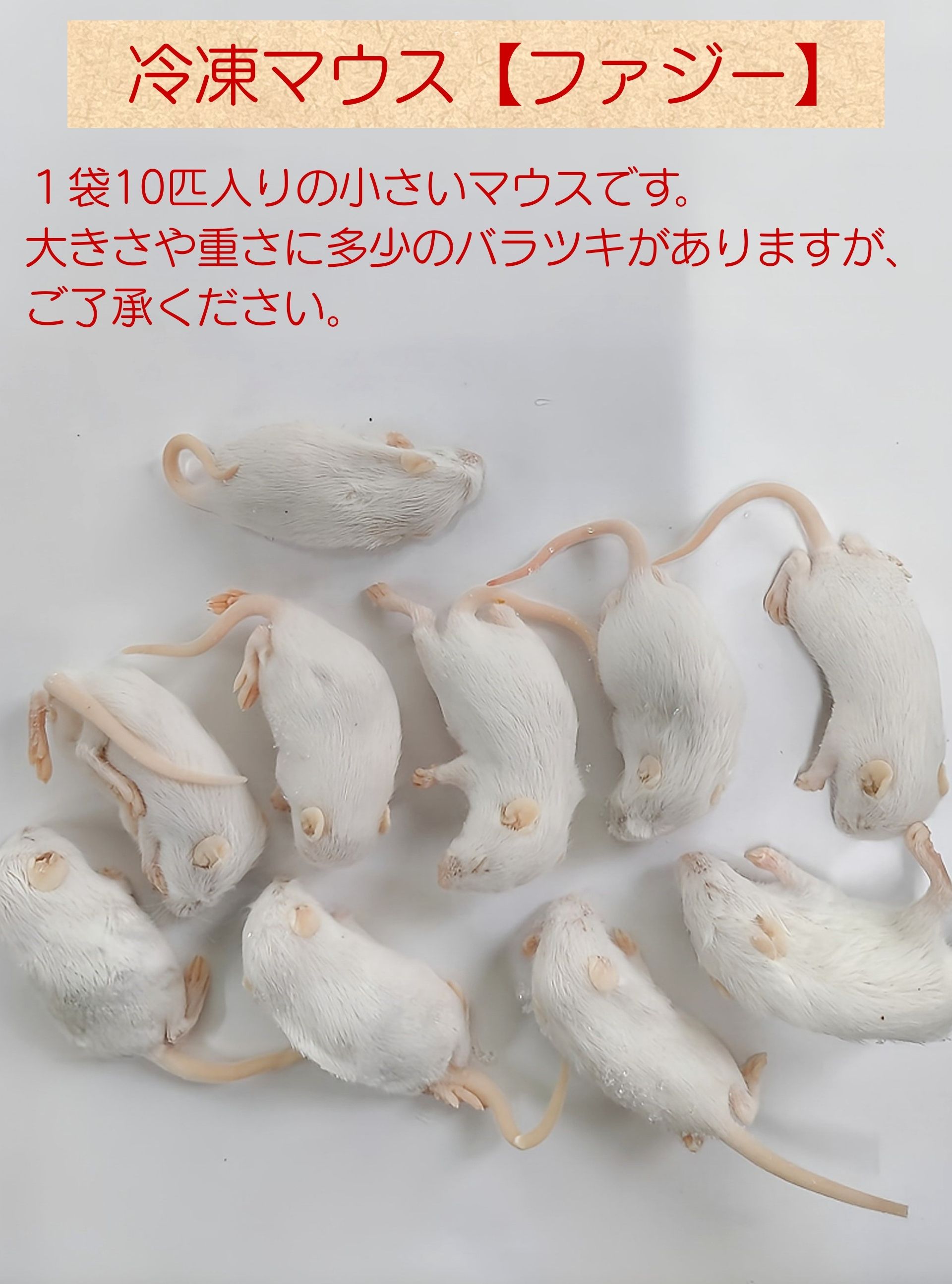 楽天市場】冷凍ファジーマウス(10匹入り) フクロウ 鷹 ハヤブサ エサ