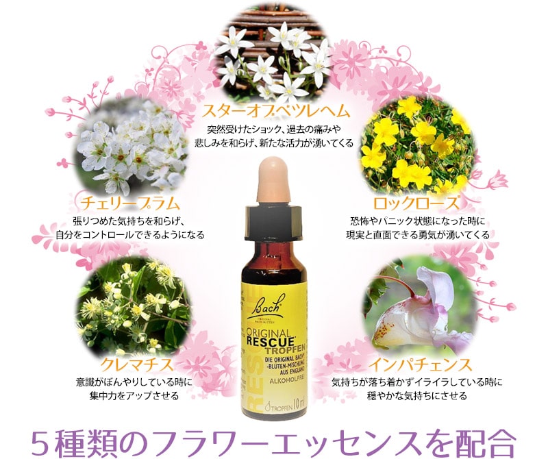 楽天市場】【楽天スーパーSALEポイント5倍＆最大2222円割引クーポン