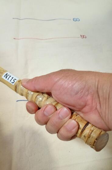 楽天市場】【布袋竹N5002】 グリップに最適6 : はっぴ専門店【阿波安