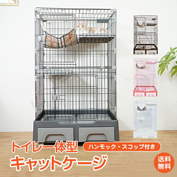 楽天市場】＼楽天スーパーSALE限定！／*限定10%OFFクーポン*【送料無料