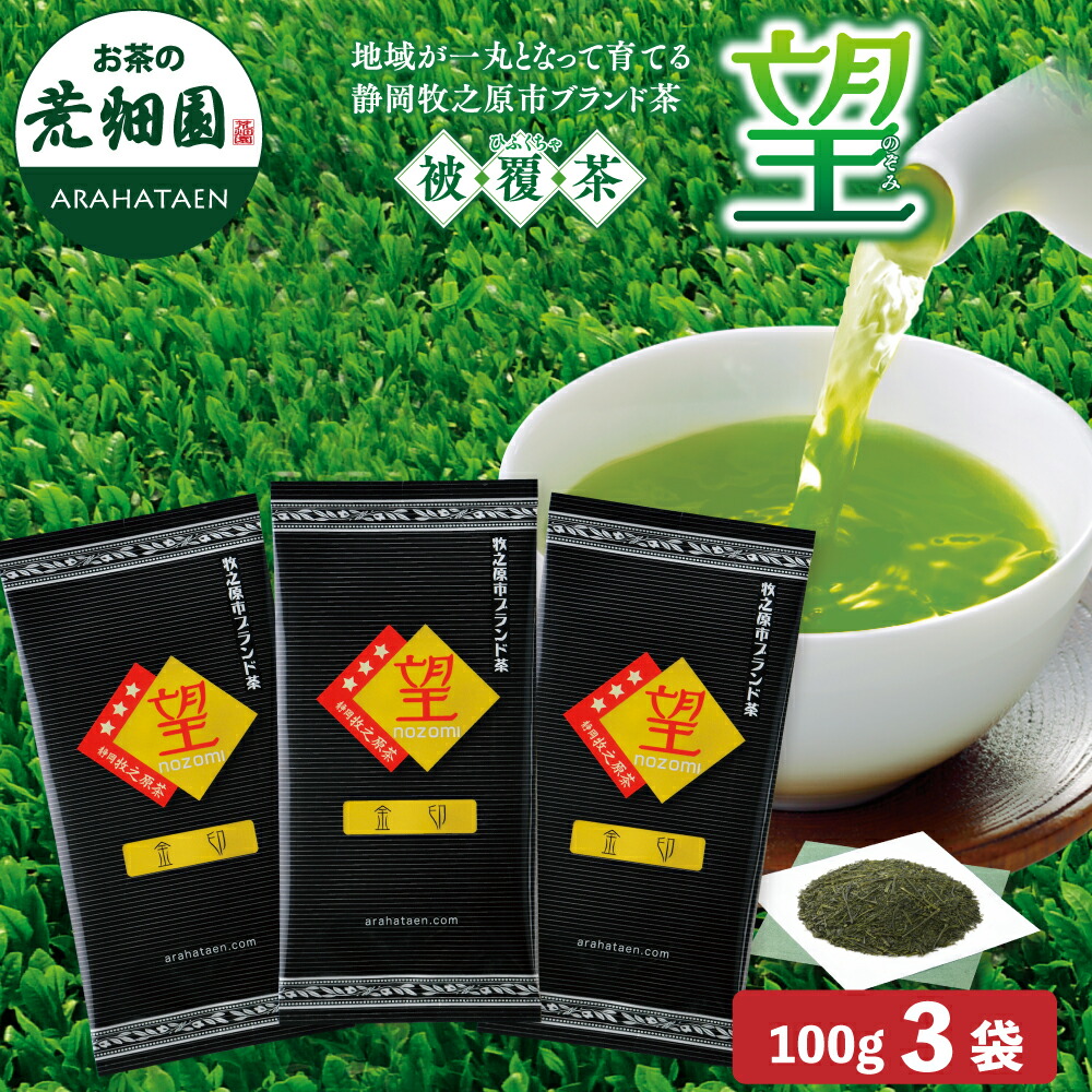 楽天市場】【大蔵ざらえセール対象：最大25％OFF】望金印 100g 1袋