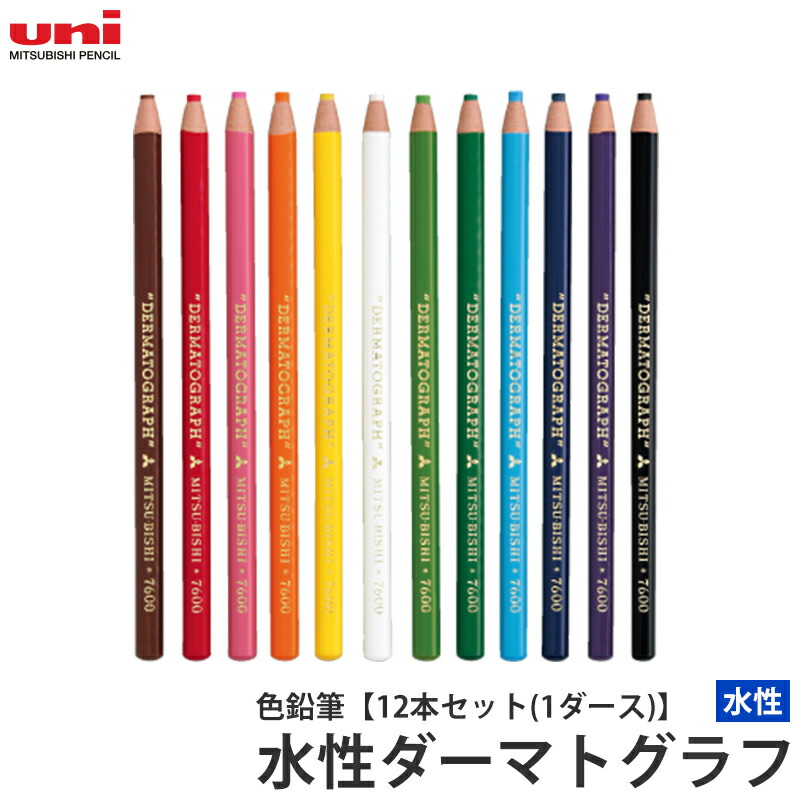 楽天市場】色鉛筆 水性ダーマトグラフ 【12本セット(1ダース)】 取寄品