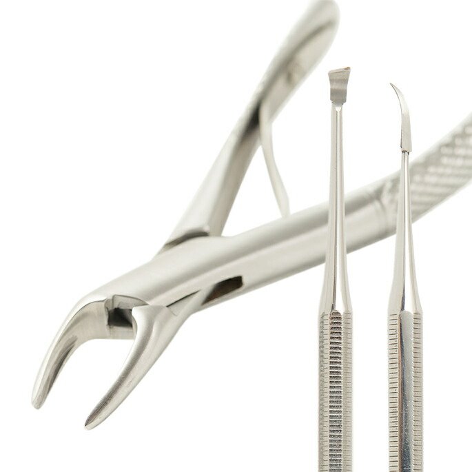 楽天市場】【P2＆クーポン配布中】帝塚山ハウンドカム 歯石取りペンチ