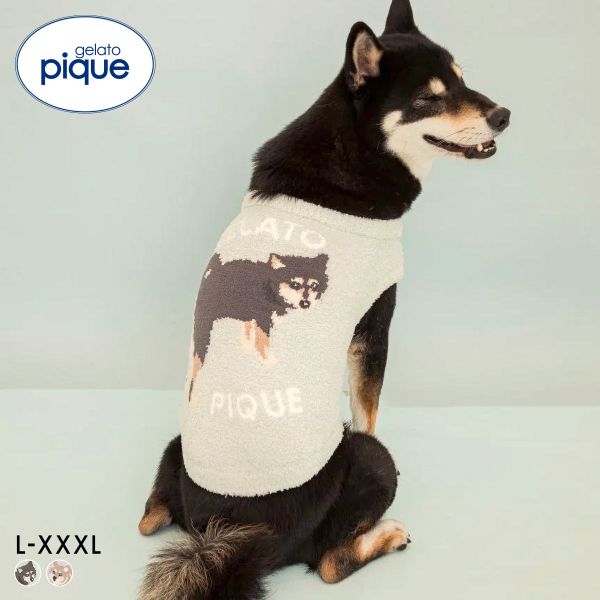 楽天市場】ジェラート ピケ ルームウェア（サイズ（S/M/L）LL）の通販