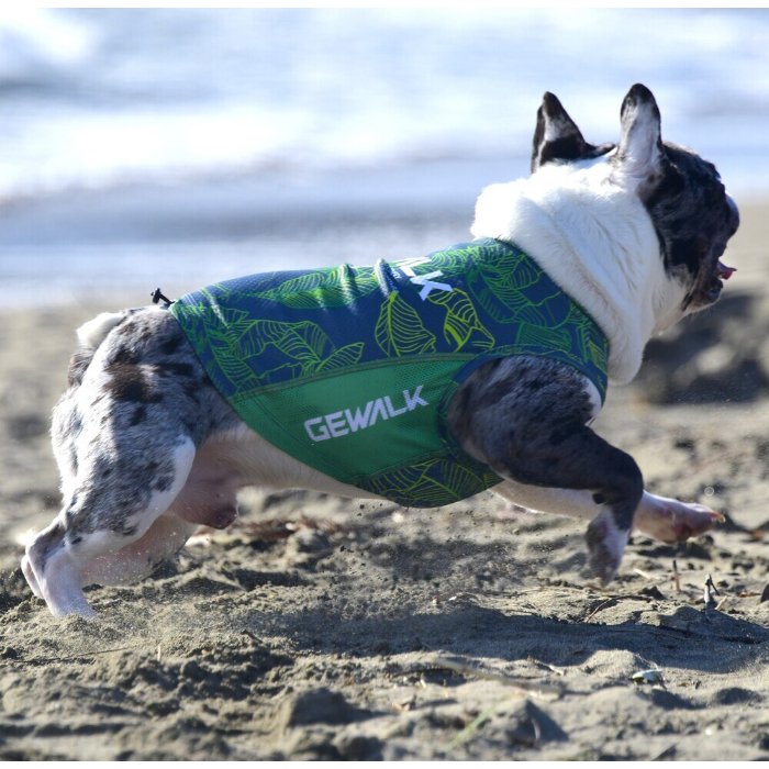 楽天市場】GEWALK 接触冷感 タンクトップ BS BM BLフレンチブルドッグ