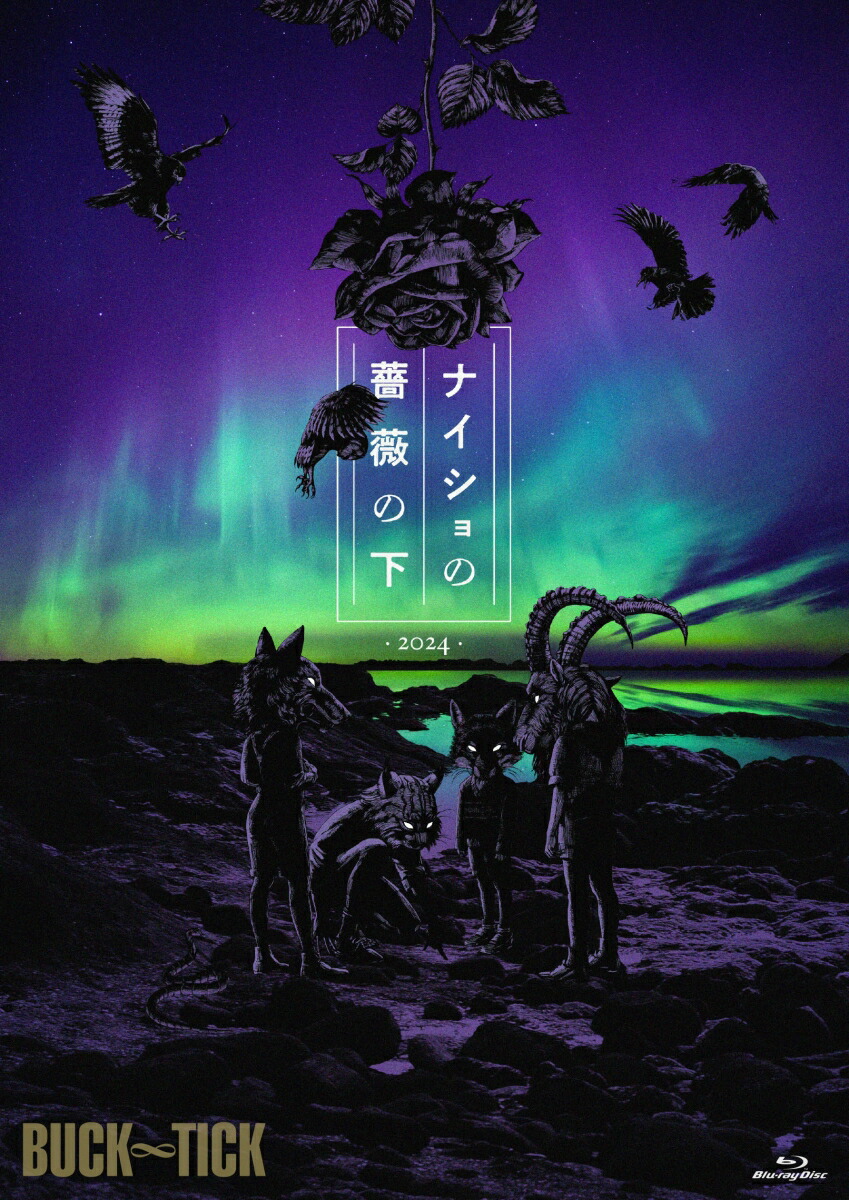 楽天ブックス: ナイショの薔薇の下 2024(DVD完全生産限定盤) - BUCK