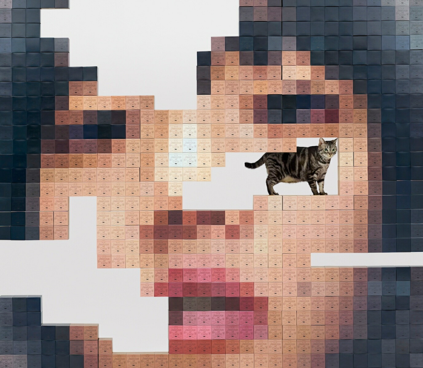 楽天ブックス: 猫にジェラシー (完全生産限定アナログ盤) - あいみょん