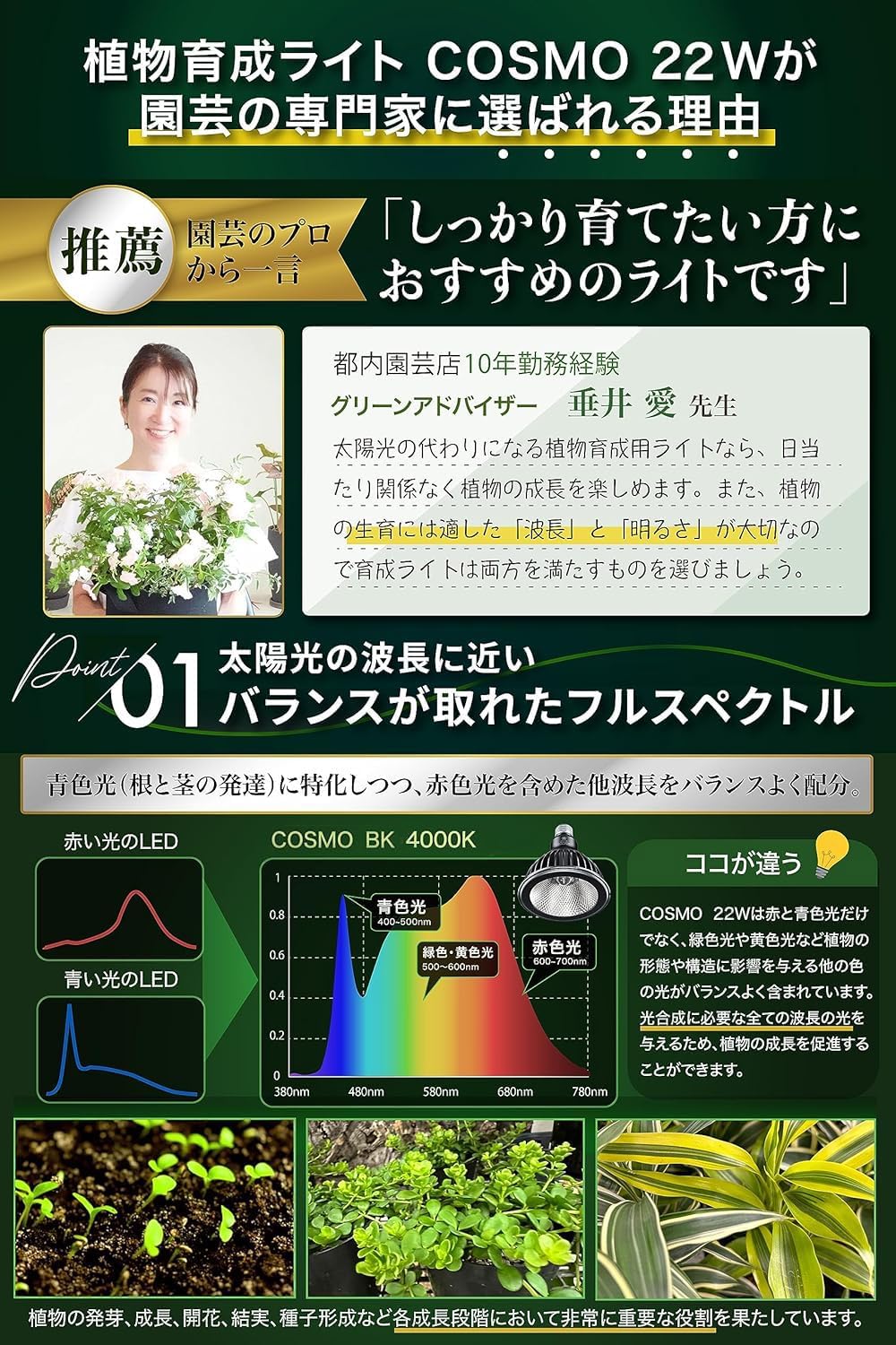 楽天市場】【SS限定クーポン配布中 | Pt5倍】BRIM(ブリム) 公式店