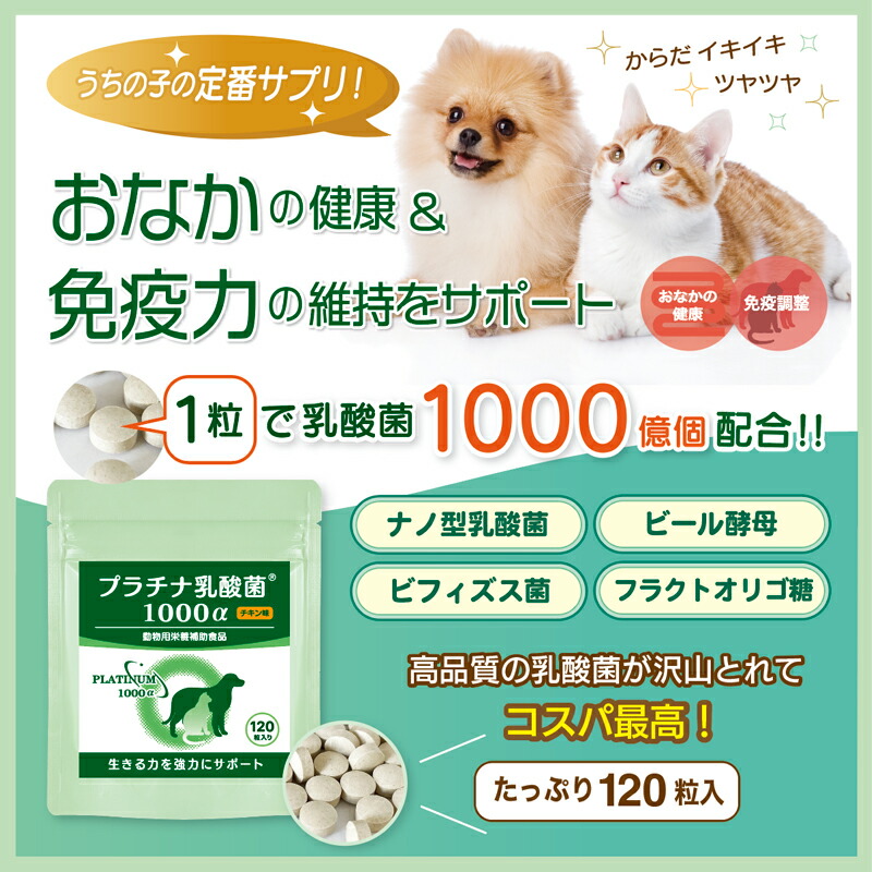 楽天市場】犬 猫 乳酸菌 サプリ 動物用サプリメント 粒 タブレット