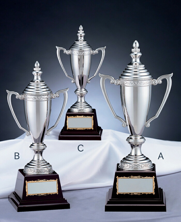 楽天市場】優勝カップ 送料無料 文字無料 高さ340mm 銀色（シルバー