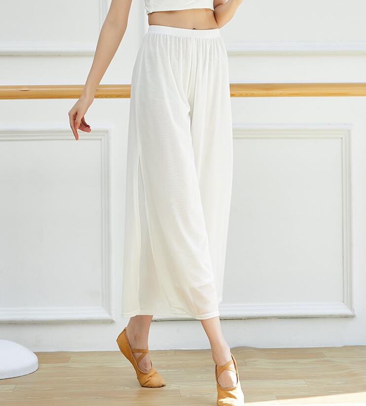 楽天市場】ダンス パンツ ダンス 衣装 レディース ワイドパンツ