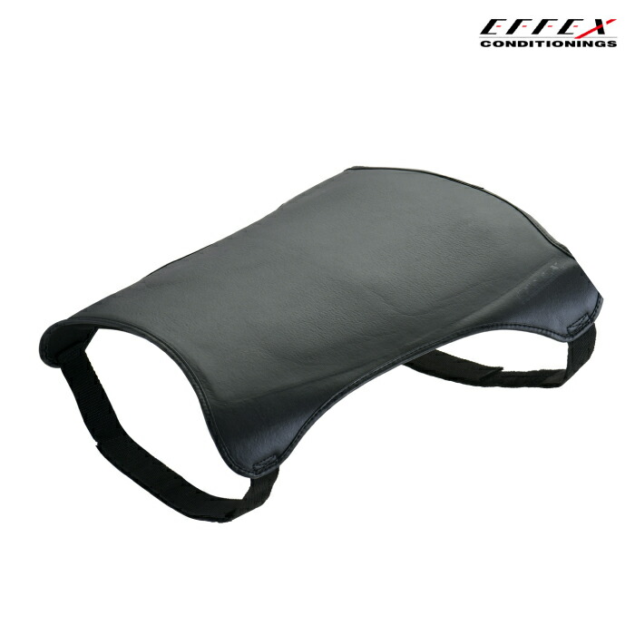 楽天市場】エフェックス ゲルザブR エクスジェル スタンダードタイプ